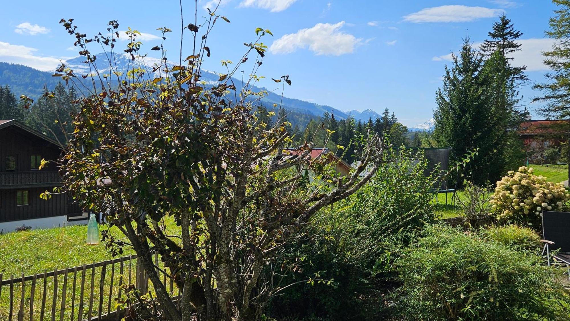 Chalet Weitsee Reit im Winkl Kültér fotó
